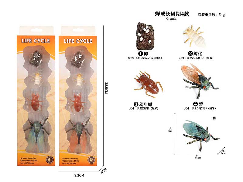 Cicada Growth Cycle(2C) toys