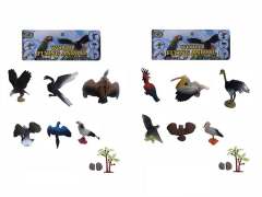 Bird Set(6in1) toys