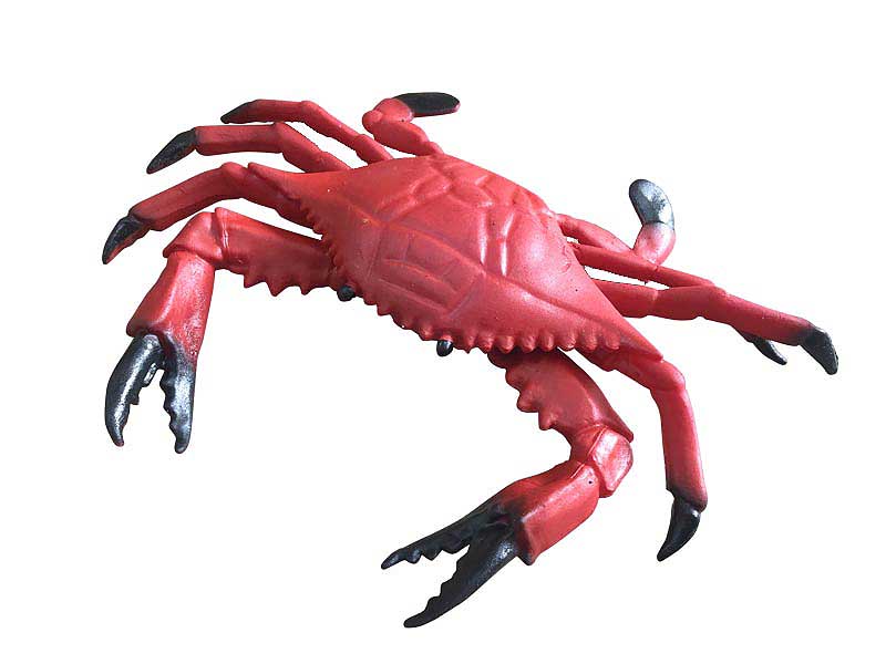 Crab toys