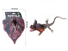 Cape Lizard toys