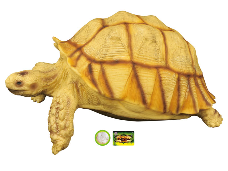 Centrochelys Sulcata toys