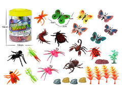 Insect Animal Set