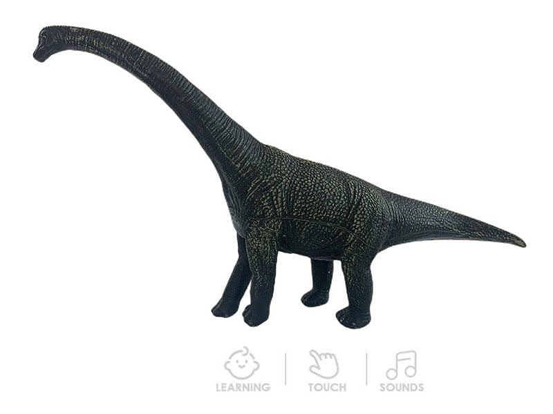 Brachiosaurus W/IC toys