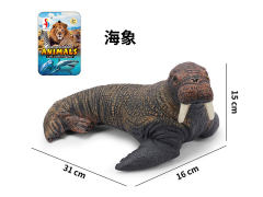 Sea Elephant toys