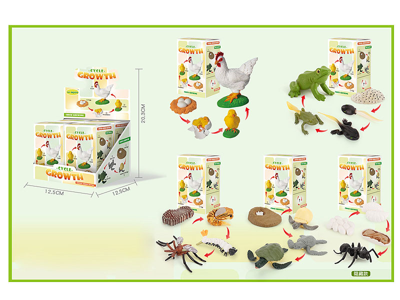 Animal Growth Cycle(4in1) toys