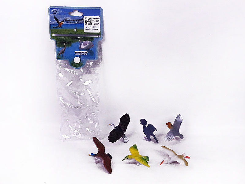 Bird(6in1) toys