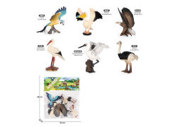 Bird(6in1) toys