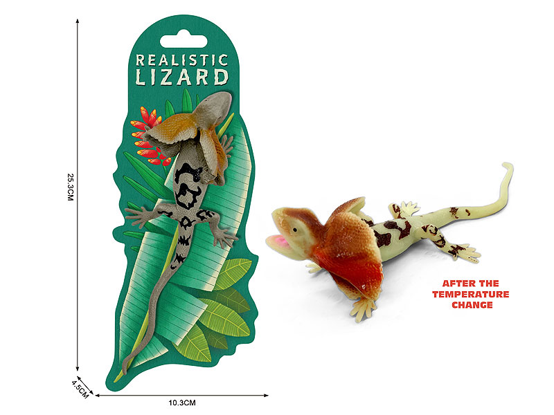 Cape Lizard toys