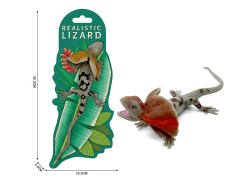 Cape Lizard toys