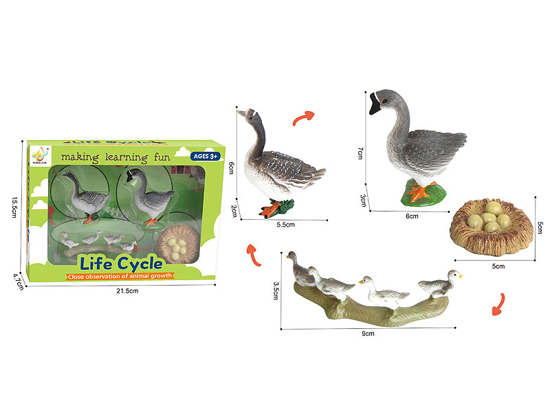 Goose Growth Cycle toys