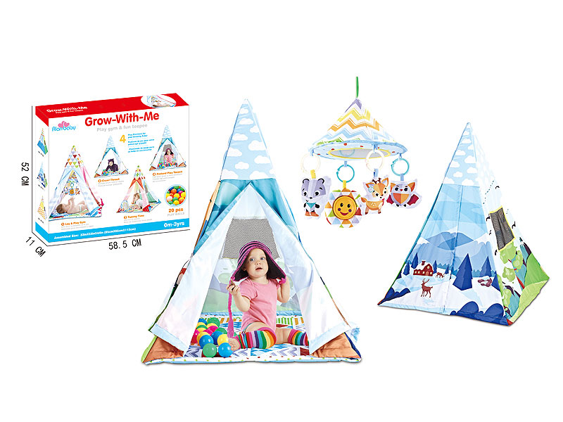 Play Tent W/M & Ball toys