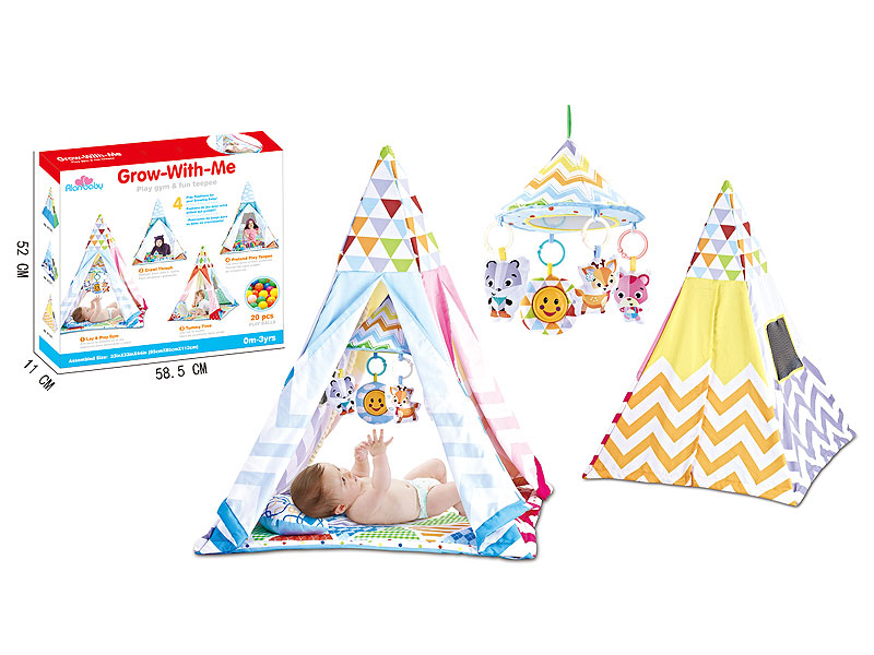 Play Tent W/M & Ball toys