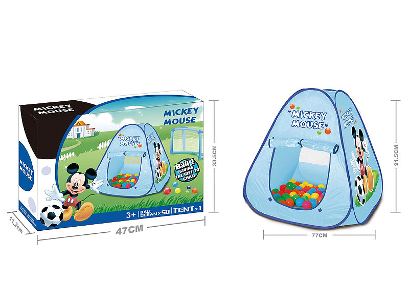 Play Tent & Ball toys